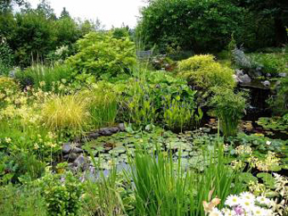 South Surrey/Langley Gardens