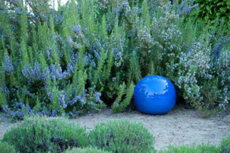 Sunshine Coast Gardens