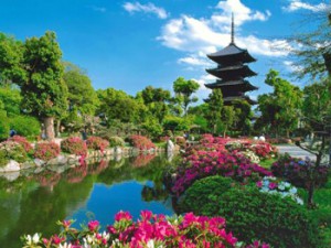 Spring in Japan